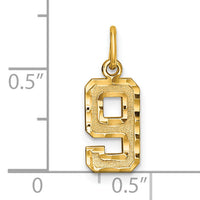 14k Small Brushed Diamond-cut Number 9 Charm-SN09