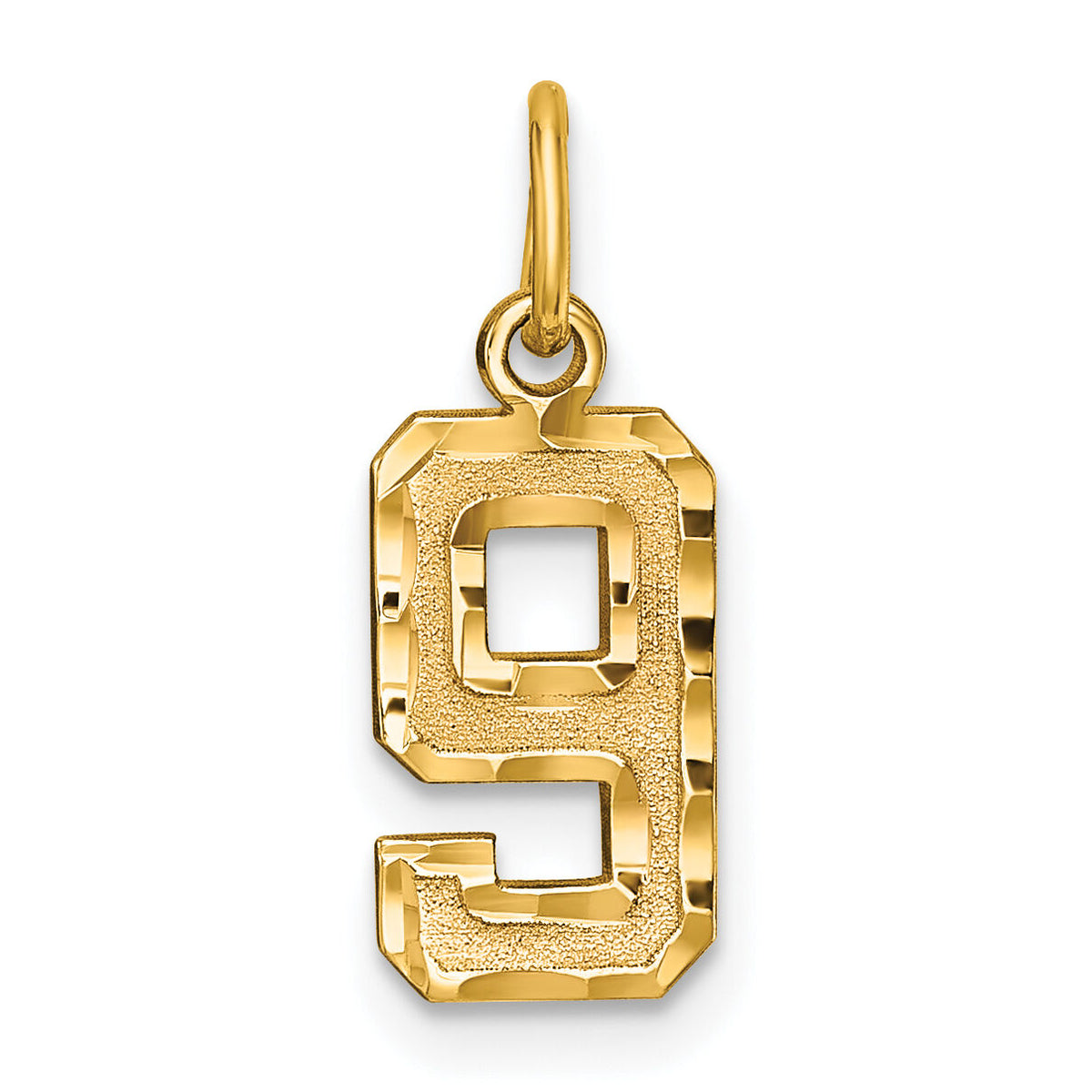 14k Small Brushed Diamond-cut Number 9 Charm-SN09