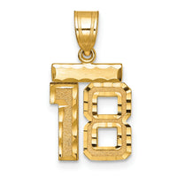 14k Small Brushed Diamond-cut Number 18 Charm-SN18