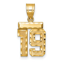 14k Small Brushed Diamond-cut Number 19 Charm-SN19