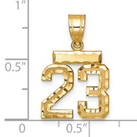 14k Small Brushed Diamond-cut Number 23 Charm-SN23