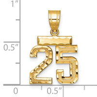14k Small Brushed Diamond-cut Number 25 Charm-SN25