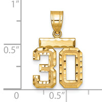 14k Small Brushed Diamond-cut Number 30 Charm-SN30
