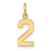 14k Small Polished Number 2 Charm-SP02
