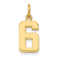 14k Small Polished Number 6 Charm-SP06