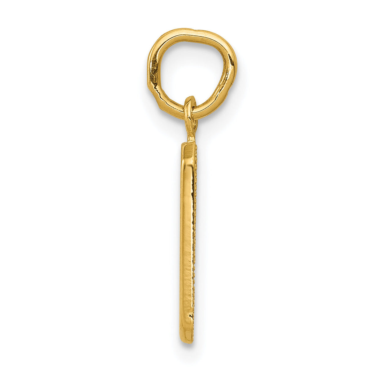 14k Small Polished Number 9 Charm-SP09
