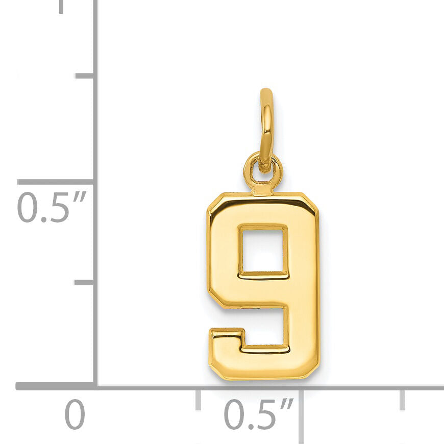 14k Small Polished Number 9 Charm-SP09