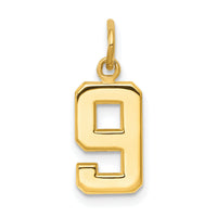 14k Small Polished Number 9 Charm-SP09
