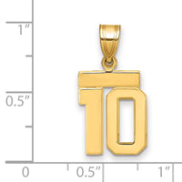 14k Small Polished Number 10 Charm-SP10