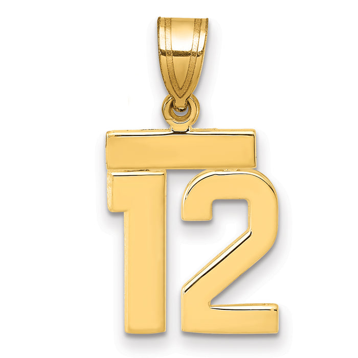 14k Small Polished Number 12 Charm-SP12