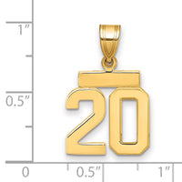 14k Polished Small Number 20 Charm-SP20