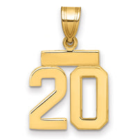 14k Polished Small Number 20 Charm-SP20