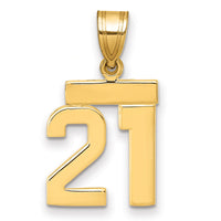 14k Small Polished Number 21 Charm-SP21