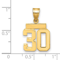 14k Small Polished Number 30 Charm-SP30