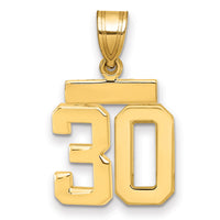 14k Small Polished Number 30 Charm-SP30