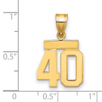 14k Small Polished Number 40 Charm-SP40