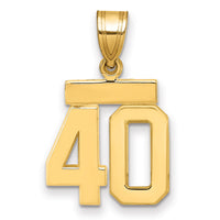 14k Small Polished Number 40 Charm-SP40