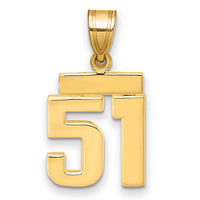 14k Small Polished Number 51 Charm-SP51