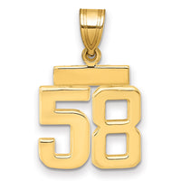 14k Small Polished Number 58 Charm-SP58