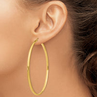 14k Polished Hoop Earring-TA239