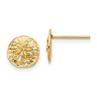 14K Sand Dollar Post Earrings-TC1022