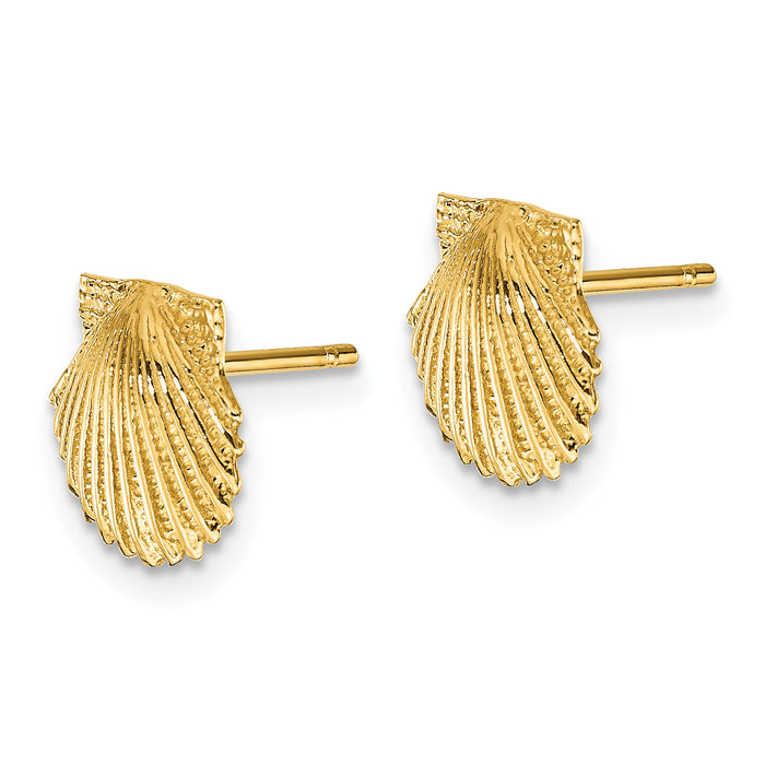 14k Scallop Shell Post Earrings-TC569