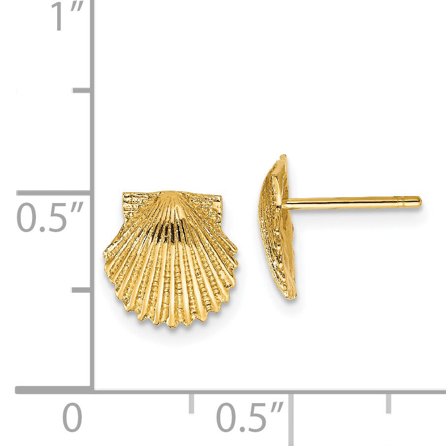 14k Scallop Shell Post Earrings-TC569