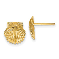 14k Scallop Shell Post Earrings-TC569