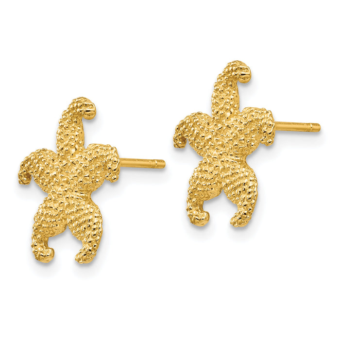 14k Starfish Post Earrings-TC586