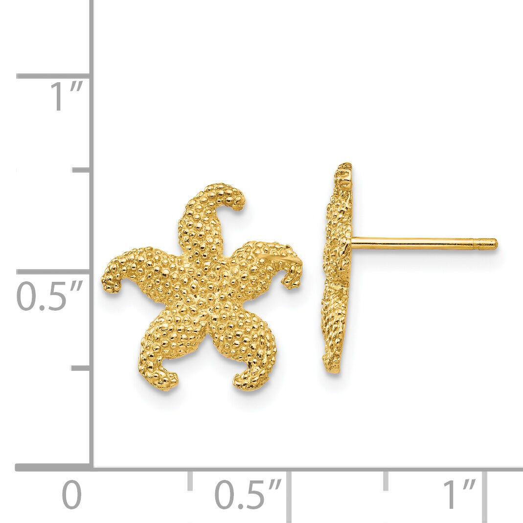14k Starfish Post Earrings-TC586