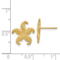 14k Starfish Post Earrings-TC586
