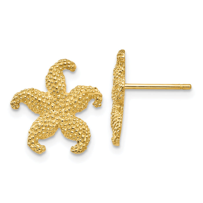 14k Starfish Post Earrings-TC586
