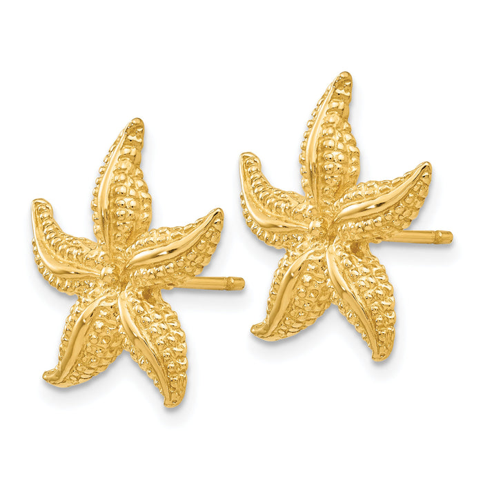 14k Starfish Post Earrings-TC587