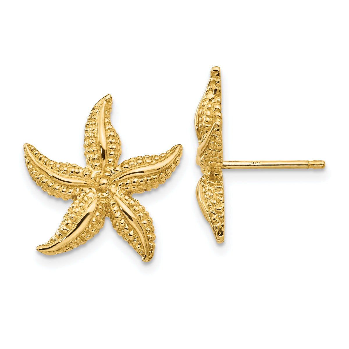 14k Starfish Post Earrings-TC587