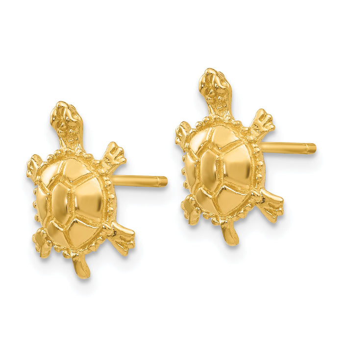 14k Turtle Post Earrings-TC598