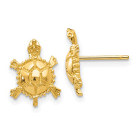 14k Turtle Post Earrings-TC598