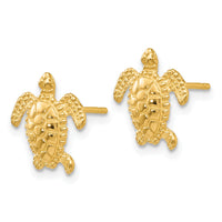 14k Sea Turtle Post Earring-TC604