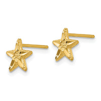 14K Diamond-cut Starfish Earrings-TC749