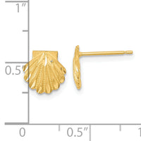 14k Satin Diamond-cut Seashell Post Earrings-TC987
