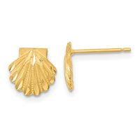 14k Satin Diamond-cut Seashell Post Earrings-TC987