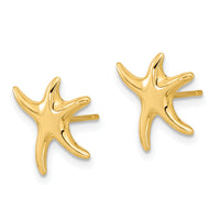 14k Polished Starfish Post Earrings-TC991