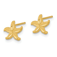 14k Satin Diamond-cut Starfish Post Earrings-TC992