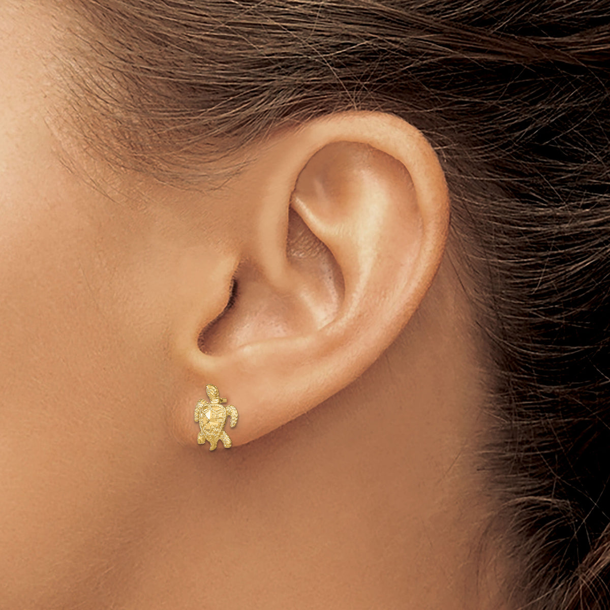 14k Polished Diamond-cut Sea Turtle Post Earrings-TC995