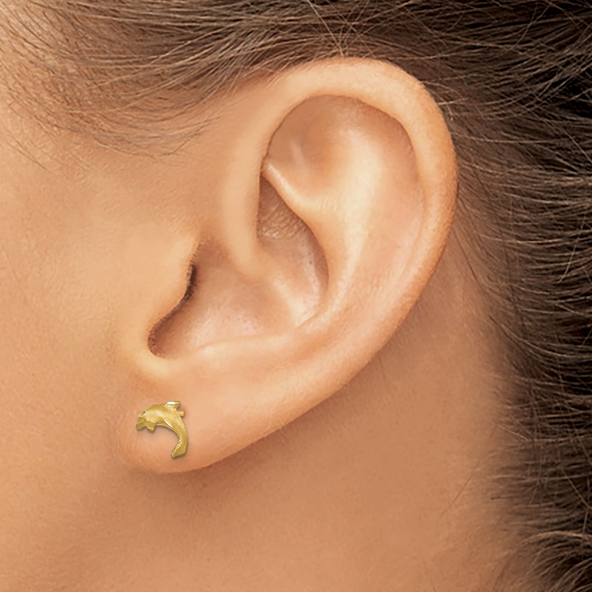 14k Satin Diamond-cut Dolphin Post Earrings-TC998