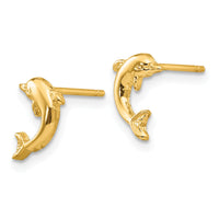 14k Dolphin Post Earrings-TE620
