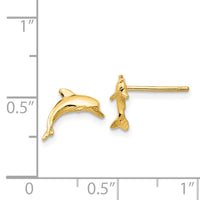 14k Dolphin Post Earrings-TE622