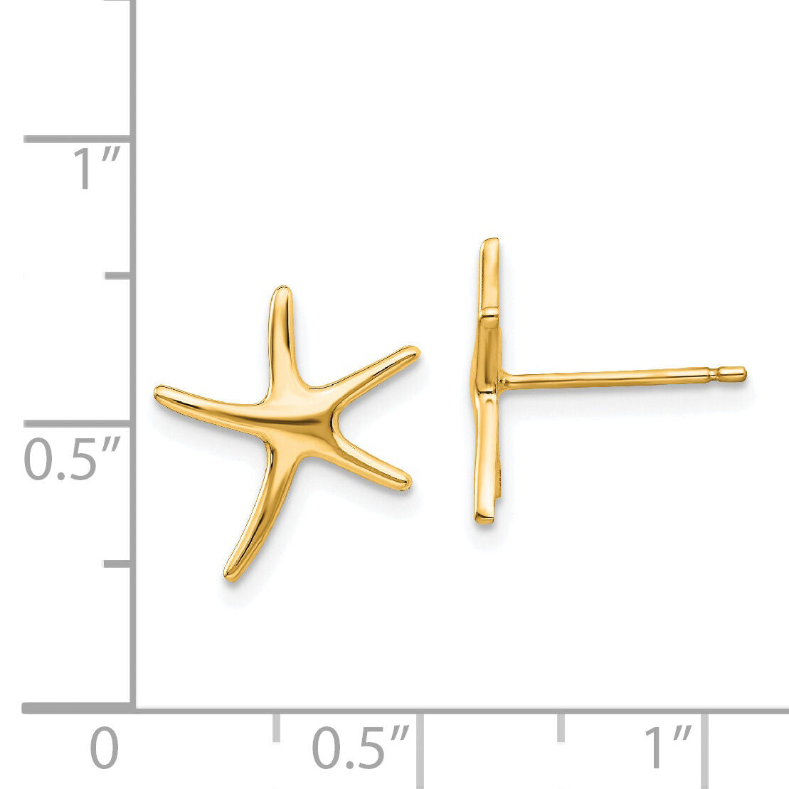 14k Starfish Post Earrings-TE624