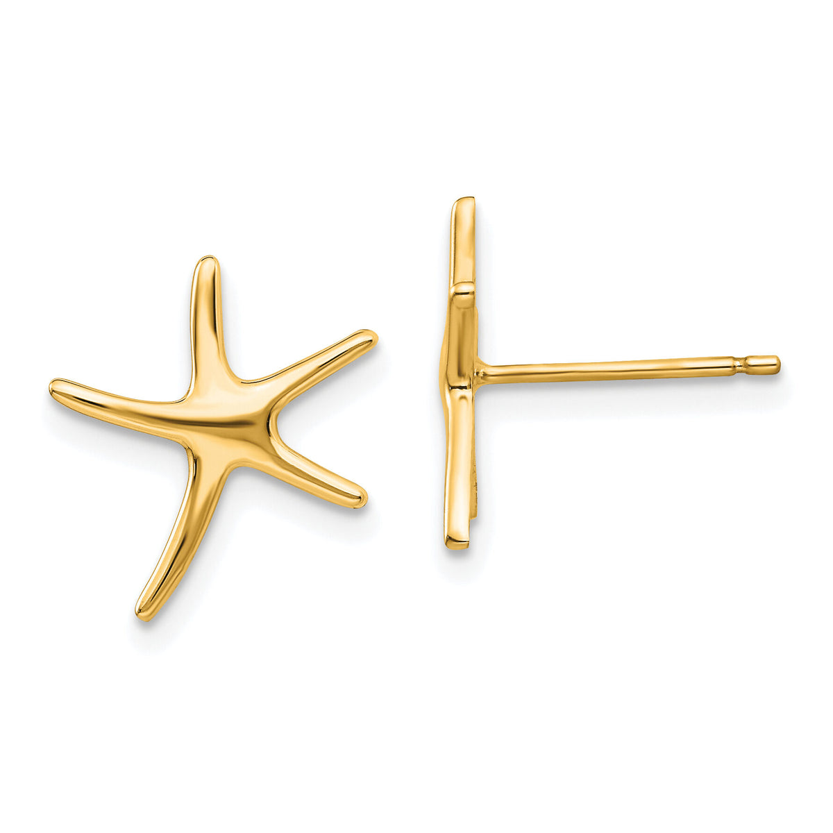 14k Starfish Post Earrings-TE624