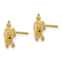 14k Sea Turtle Post Earrings-TE627
