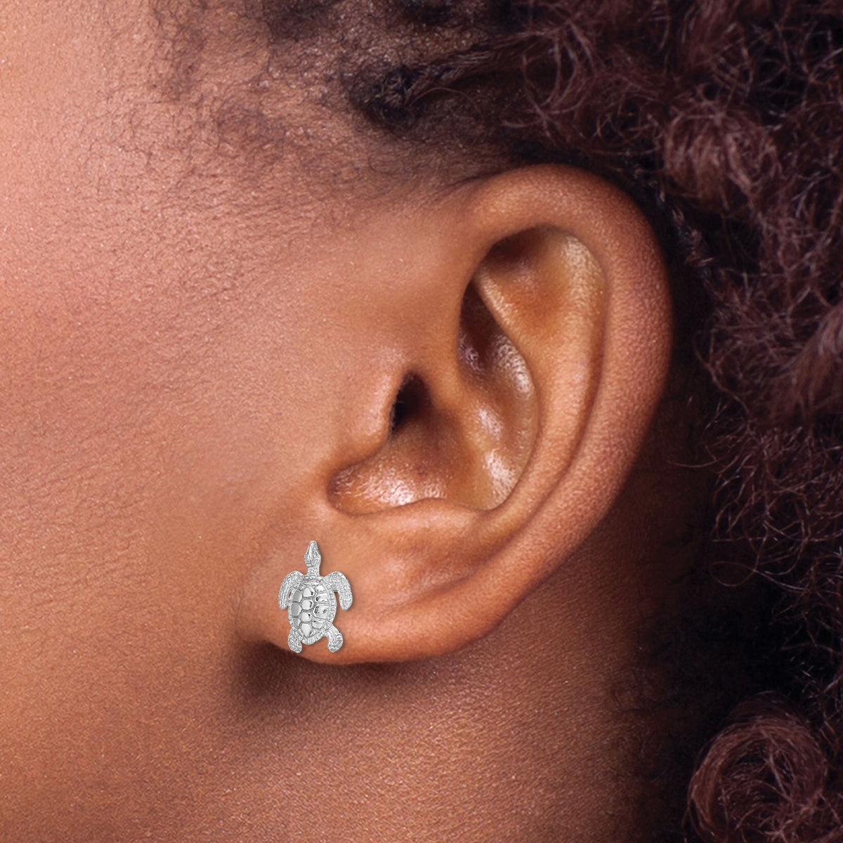 14K White Gold Polished / Textured Sea Turtle Post Earrings-TE627W